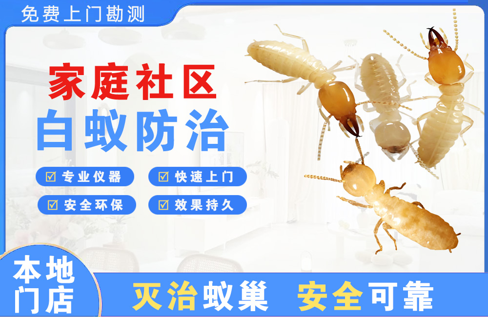 陆丰家庭社区白蚁防治