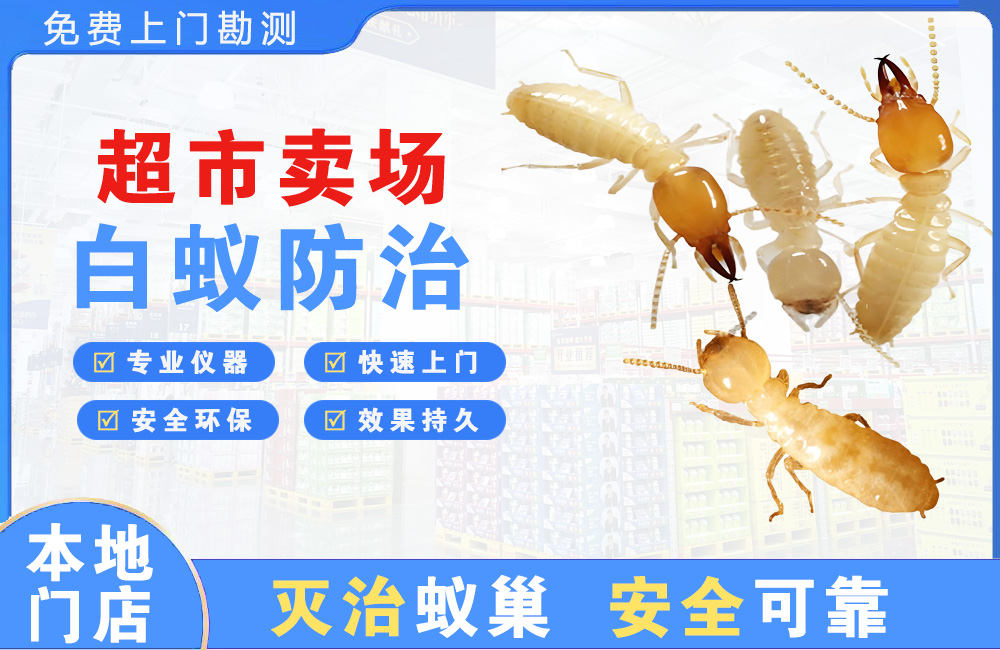 陆丰超市卖场白蚁防治