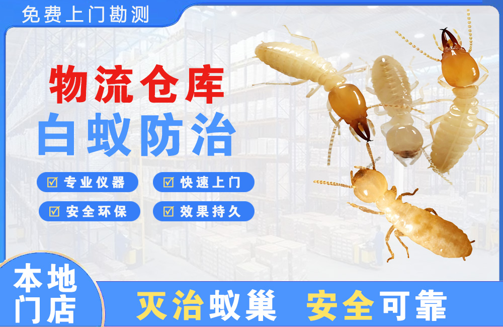 陆丰物流仓库白蚁防治