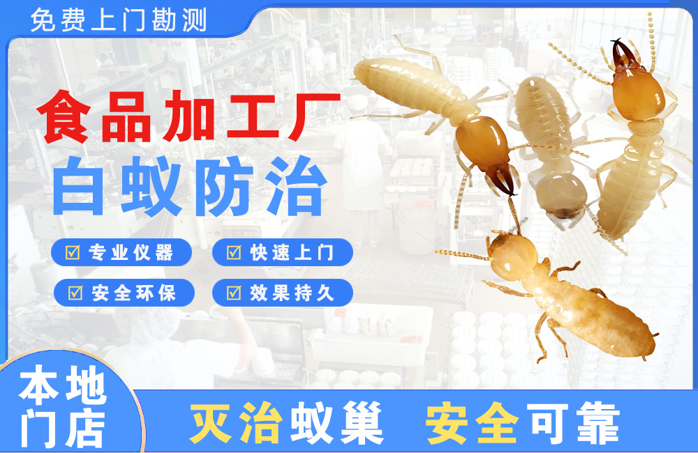 陆丰食品加工厂白蚁防治